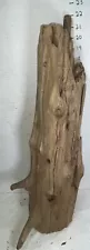 Driftwood Cedar unique natural