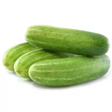 Fresh Cucumber (5 LBS) The actual vegetable