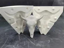 Small Cattle Skull plaster slip mold ceramic casting