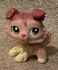 Sweetest Collie Dog * 3 Day Auction. #1723 Genuine Hasbro Littlest Pet Shop LPS