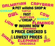 ðupdatedð Adopt pets fast CHEAP! Easy ! Adopt All Pets Willdh Games from me !