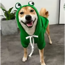 NEW Halloween Dog Frog Hoodie Size XXL