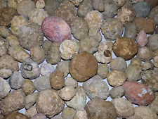 bulk geodes for sale