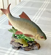 FRESH WATER FISH RUDD FIGURINE, REAL LIFE LOOKING.