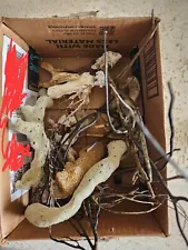 Driftwood LOT for Fish Tank or Reptiles Aquarium As-is Damaged Drift Wood Sea