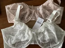 WOMANS BRAS - Plus Sizes