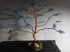 oak bonsai tree for sale