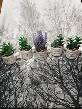 artificial potted plants in mini crocks all for one low price.