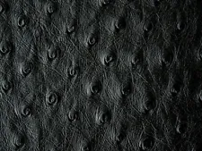 Ostrich Leather Hide, Black SF Color