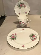 Beautiful Roses Motif English Bone China Tea Set w/ Dessert Plate - GPSA