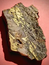 Extraordinary Rich Gold Ore! High Grade Gold Specimen 