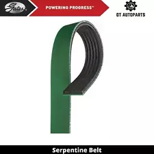 For 2006-2007 Kenworth T800 Serpentine Belt For Fan To AC Gates (For: 2007 Kenworth T800)