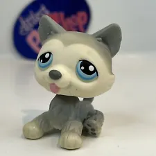 HUSKY DOG #70 - Authentic Littlest Pet Shop - Hasbro LPS