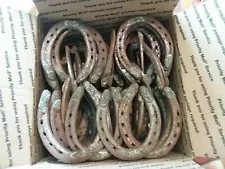 One Dozen (12) Used Horseshoes. Welding. Crafting. FREE SHIPPING.