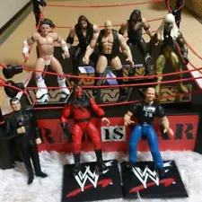 Professional Wrestling Ring Figure Set