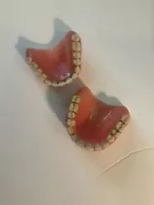 Vintage False Teeth