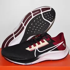 Nike Pegasus 38 Florida State Seminoles Mens Running Shoes DJ0827-001 FSU