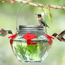 Mason Jar Hummingbird Feeder for Outdoors Hanging, Glass Humming Bird Feeders...