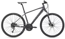 2019 Giant Roam 2 Disc Mens Hybrid bike in Gray