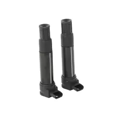 2x Ignition Coils Fit For BMW R1200GS 2004-2010 R1200RT 2005-2010 (For: More than one vehicle)