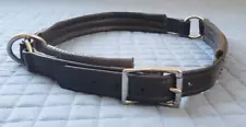 Horse Padded Neck Collar Biothane W/ Loose Ring Black Endurance Driving Trail