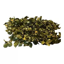 Ashland Faux Pothos Leaves Artificial Greenery Vines Decor Garland 6ft 3 pc Lot