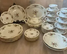 Johann Haviland Moss Rose 36 Piece Traditional Service for 8 Bavaria Germany