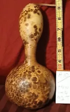 New ListingDried GOURD W/ Seeds 14 1/4 " circumference x 9 1/2 " Tall #A10