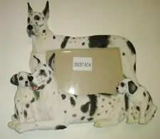 Harlequin Great Dane Resin Tabletop 9”x10” Picture Frame for 4"x6" Photos New