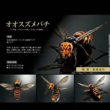 Premium Gashapon Giant Hornet Encyclopedia Advance Gacha