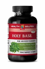 Antioxidant capsules -HOLY BASIL TULSI HERB ANTIOXIDANT- Holy basil organic -1B