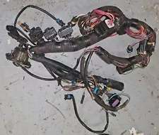 Sea Doo Islandia Mercury 240 EFI main engine wire wiring harness 880186A4 2003