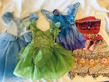 Lot of 4 Disney Character Costumes - Cinderella, Tinkerbell, Silvermist & Moana