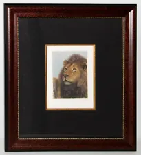 LION Color Etching Print Dennis Curry Pencil Signed Titled On His Guard Date 96