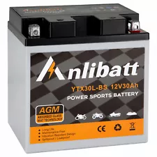 YTX30L-BS High Performance Maintenance Free Sealed AGM Motorcycle Battery ETX30L