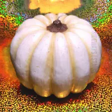 WHITE PUMPKIN SHAPED CANDLE Thanksgiving Halloween rustic casperita winter gourd