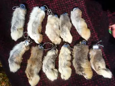 LUCKY 11 RABBITS FOOT RABBIT'S FEET QTY 11 GENUINE RABBIT'S FOOT NATURAL KEY CHA