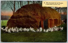 Vtg Chicken Coop Grass Thatch Roof We All Scratch For The Farmer 1910s Postcard