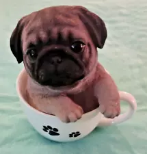 Adorable Resin Pug Puppy in a Ceramic Tea Cup w/Paw Prints 6"x5"