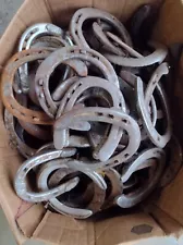 New ListingHORSESHOES -25 USED STEEL OKLAHOMA HORSESHOES - Horse Shoe - SHIPS FREE!