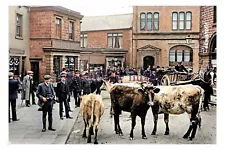 ptc3234 - Yorks. - Heifers for Sale, Cattle Market in Penistone - print 6x4