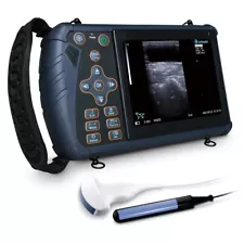 DAWEI Protable Vet Ultrasound Scanner Convex Probe for Goat Pig Equine Pregnancy