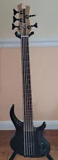 Tobias Growler 5 String Bass (Nashville) - Very Good Condition - Rare Find!