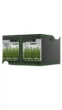 10 x 10 grow tent