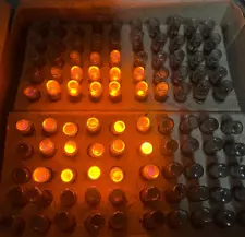 100 pcs/pack Vintage neon 110V nixie indicator light bulbs INA TN-0.2-2 NOS