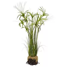 Nearly Natural Papyrus Plant with Faux Soil Arrangement