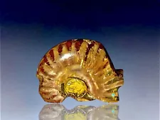 Native American Zuni Carved Opalized Ammonite Bear Fetish By Brandon Phillips