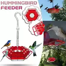 Shirem Hummingbird Feeder Shirem Sweety Hummingbird Feeder Hummingbird Feeder