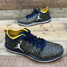 Nike Men Jordan Jumpman Trainer-Low U of M Michigan Wolverines 845403-420 Sz 16