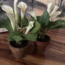 Pottery Barn 4 Inch Calla Lily Plant Set Of Two